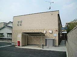 レオネクストルーエ　キフネ