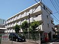 東急多摩川線 武蔵新田駅 徒歩9分の賃貸マンション