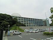 【市役所・区役所】掛川市役所まで495ｍ
