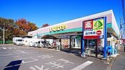 【スーパー】いなげや入間春日町店まで1100ｍ