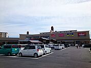 【ショッピングセンター】バロー北寺島店まで650ｍ