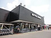 【ホームセンター】ジョイフル本田市原店まで400ｍ