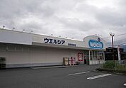 【ドラッグストア】ウエルシア御殿場東店まで950ｍ