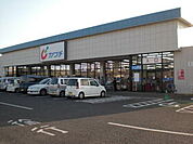 カワチ薬品小山西店まで336ｍ