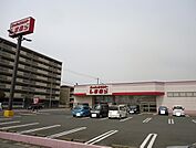 しまむら富津店まで1100ｍ