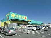 【ドラッグストア】杏林堂掛川下垂木店まで1140ｍ