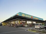 【ドラッグストア】杏林堂スーパードラッグストア掛川花鳥園前まで852ｍ