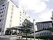 【市役所・区役所】豊田市役所まで1300ｍ
