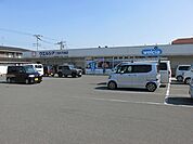 【ドラッグストア】ウエルシア二宮店まで700ｍ