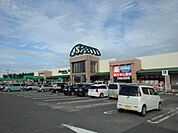 【スーパー】しずてつストア 掛川店まで1500ｍ
