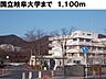 周辺：【大学】国立岐阜大学まで1100ｍ