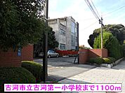 【小学校】古河市立古河第一小学校まで1100ｍ