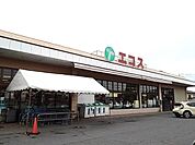 【スーパー】エコス下館岡芹店まで550ｍ