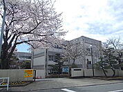 【小学校】水戸市立千波小学校まで1400ｍ