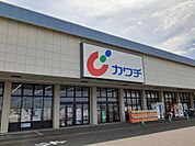【ドラッグストア】カワチ薬品藤代店まで1820ｍ