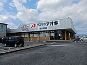 【ドラッグストア】クスリのアオキ西片貝店まで900ｍ