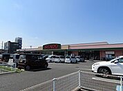 【スーパー】せんどう茂原店まで550ｍ