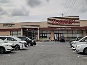 【スーパー】とりせん茂呂店まで290ｍ