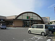 【スーパー】ドミー吉良店まで550ｍ