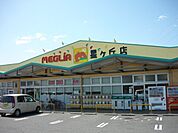 【スーパー】メグリア星が丘店まで1000ｍ