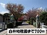 周辺：【幼稚園】白井幼稚園まで700ｍ