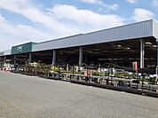 【ホームセンター】カインズホーム磐田店まで800ｍ