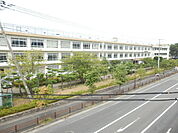 【中学校】平塚市立浜岳中学校まで820ｍ