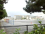 【小学校】平塚市立花水小学校まで1055ｍ