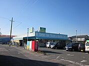 【ドラッグストア】杏林堂袋井西田店まで359ｍ