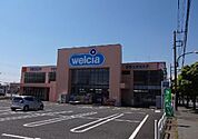 【ドラッグストア】ウエルシア市原国分寺台店まで1100ｍ