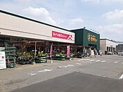 【ホームセンター】セキチュー前橋関根店まで2000ｍ