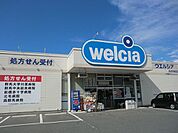 【ドラッグストア】ウエルシア渋川行幸田店まで1800ｍ