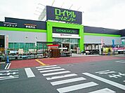 【ホームセンター】ロイヤルホームセンター　津島店まで1500ｍ
