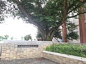 【中学校】下野市立国分寺中学校まで550ｍ