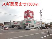 【ドラッグストア】スギ薬局　穂積店まで1500ｍ