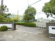 【中学校】平塚市立金旭中学校まで1160ｍ