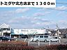 周辺：【スーパー】トミダヤまで1300ｍ