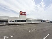 【ホームセンター】DCM真正店まで1500ｍ