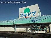 【ドラッグストア】ドラッグスギヤマ長良店まで300ｍ