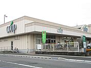 【スーパー】ユーコープ緑ヶ丘店まで644ｍ