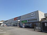 【ホームセンター】カーマ常滑店まで900ｍ