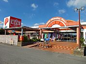 【スーパー】ザ・ビッグ大東店まで4500ｍ