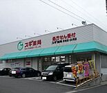 【ドラッグストア】スギ薬局 新知店まで260ｍ