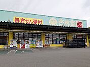 【ドラッグストア】杏林堂薬局掛川花鳥園前店まで600ｍ