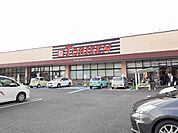 【スーパー】とりせん細谷店まで1100ｍ