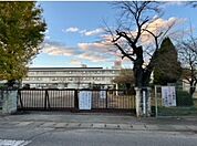 【小学校】南小学校まで490ｍ