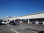 【ドラッグストア】カワチ薬品大田原南店まで300ｍ
