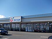【ドラッグストア】カワチ若松原店まで1000ｍ