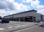 【ドラッグストア】カワチ薬品石井店まで550ｍ