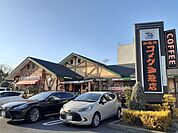 【その他】コメダ珈琲店 京都伏見店まで550ｍ